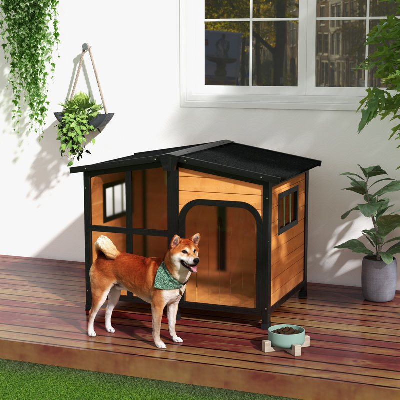 Tucker Murphy Pet Outside Cabin Style Wooden Dog House For Large Dogs With Openable Roof Giant Window Outdoor Indoor Big Dog House Asphalt Roof Yellow Wayfair